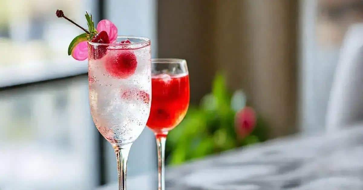 vodka com licor de cassis e espumante o brinde perfeito para celebrar