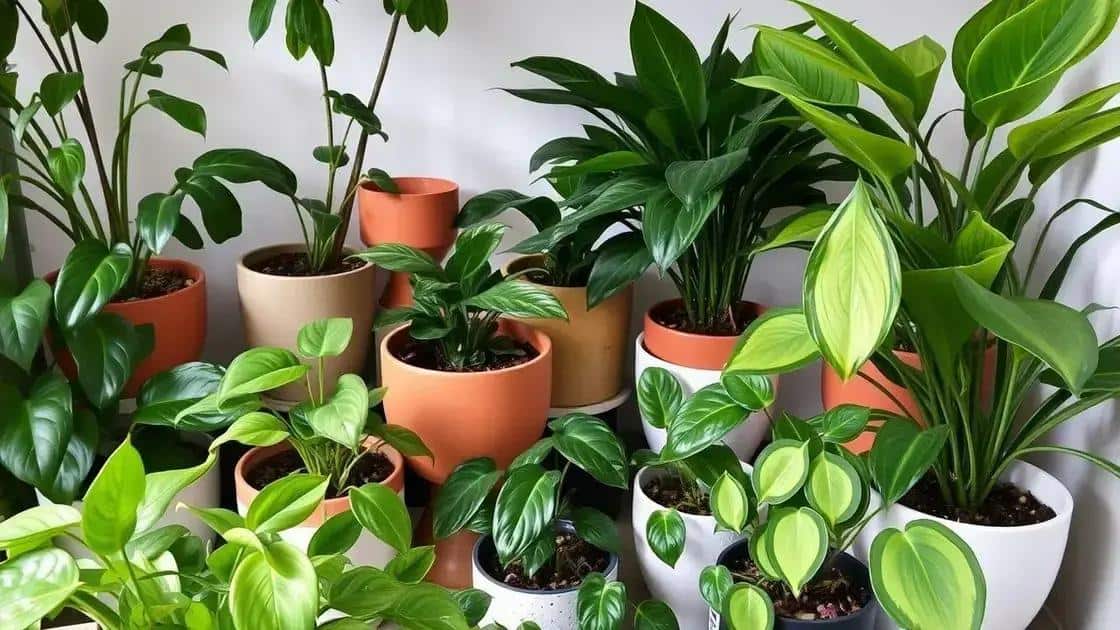Como escolher plantas que se adaptam à pouca luz