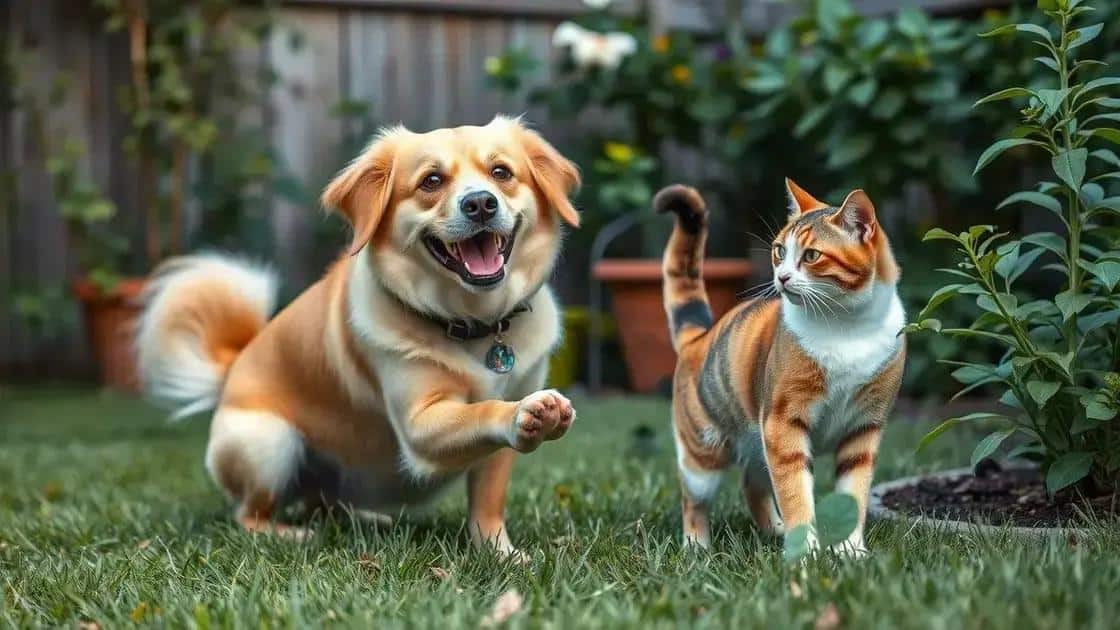 Ensine seu pet a respeitar o jardim