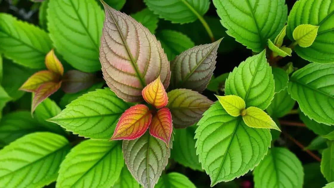 Verde que te quero verde: o que a coloração diz