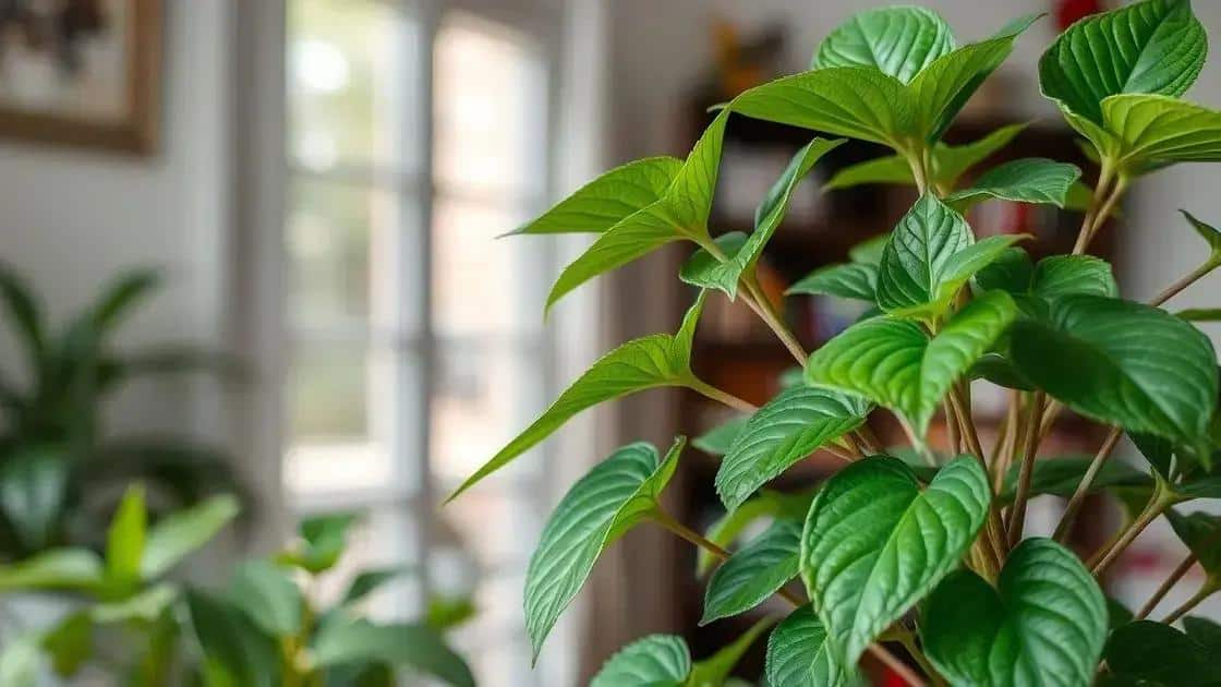 sinais de que sua planta esta saudavel