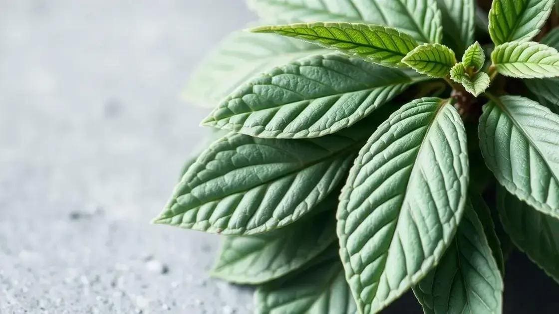 propriedades medicinais da sálvia