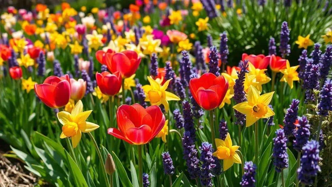 Como cuidar das flores na primavera