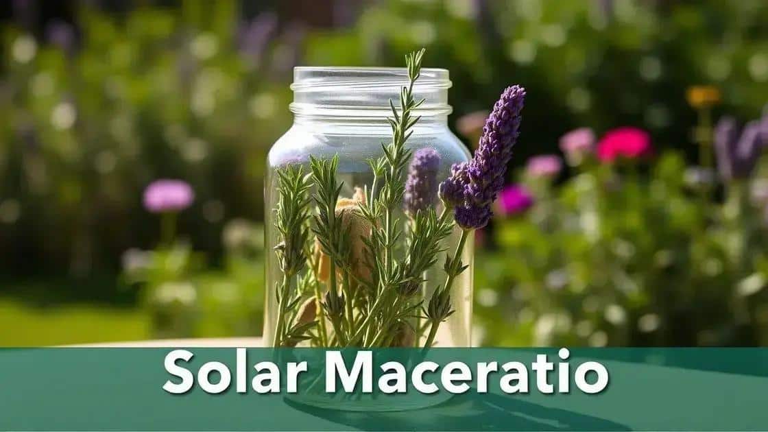 O que é a maceração solar de ervas