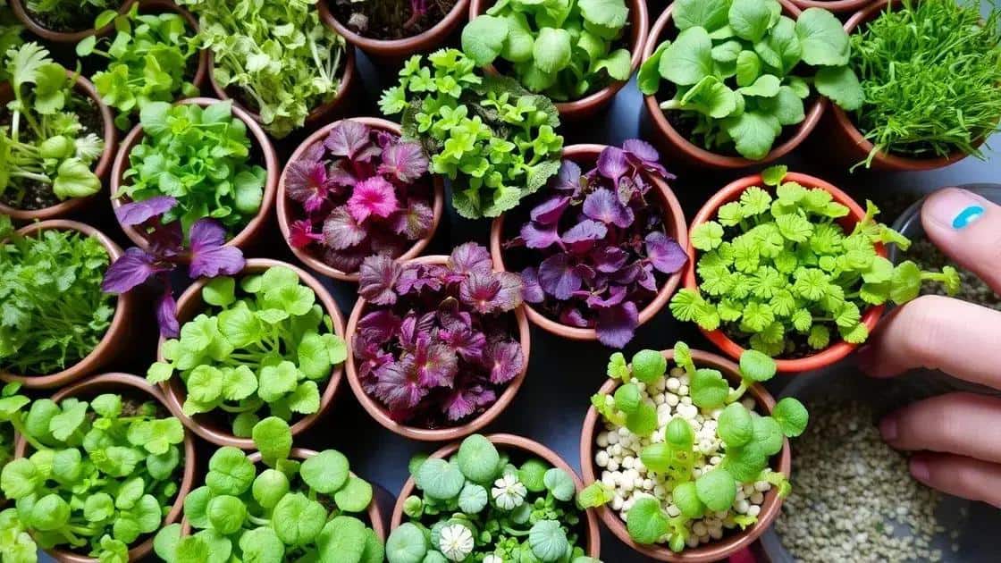 Como escolher os melhores microverdes para cultivar
