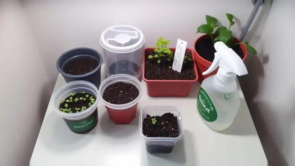 Materiais necessários para montar seu microjardim