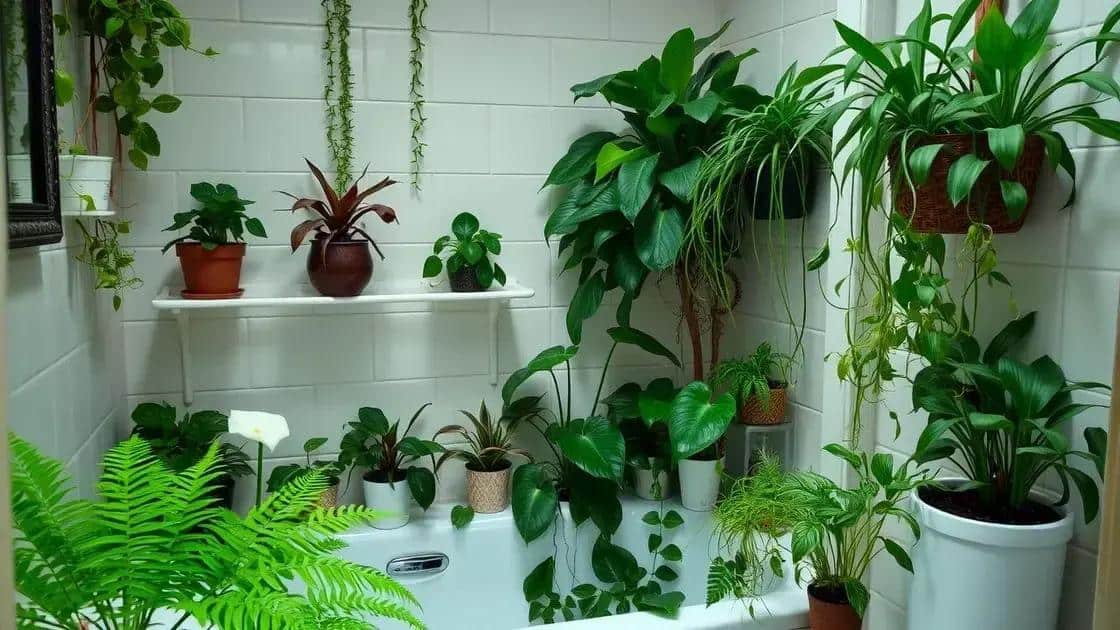 plantas que se adaptam à umidade do banheiro