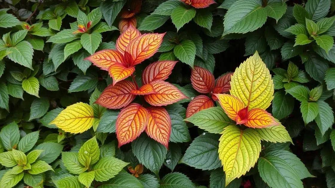 Erros comuns ao esquecer a drenagem Erros comuns ao esquecer a drenagem